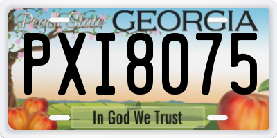 GA license plate PXI8075