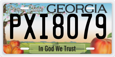 GA license plate PXI8079