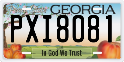 GA license plate PXI8081