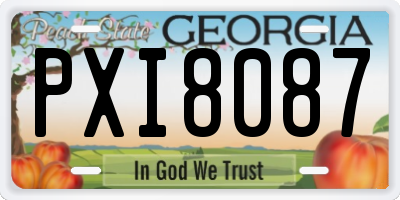 GA license plate PXI8087