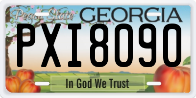 GA license plate PXI8090