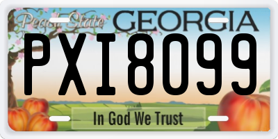 GA license plate PXI8099