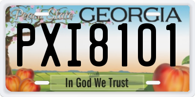 GA license plate PXI8101