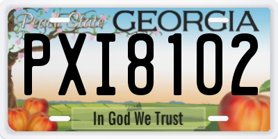 GA license plate PXI8102