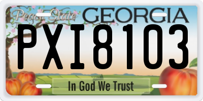 GA license plate PXI8103