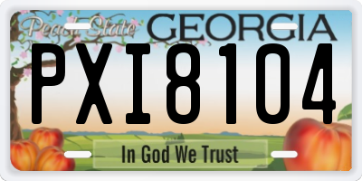 GA license plate PXI8104