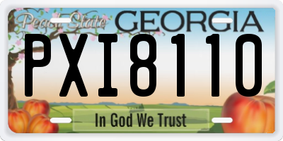 GA license plate PXI8110
