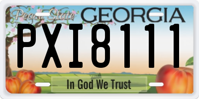 GA license plate PXI8111