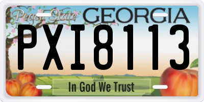 GA license plate PXI8113