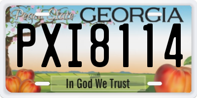 GA license plate PXI8114