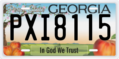 GA license plate PXI8115