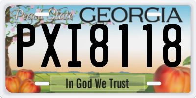 GA license plate PXI8118