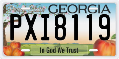 GA license plate PXI8119