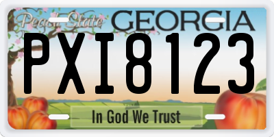 GA license plate PXI8123