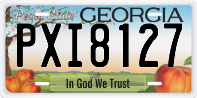 GA license plate PXI8127