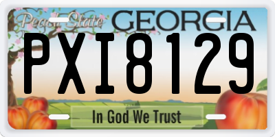 GA license plate PXI8129