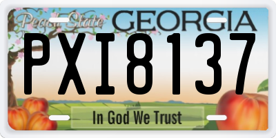 GA license plate PXI8137