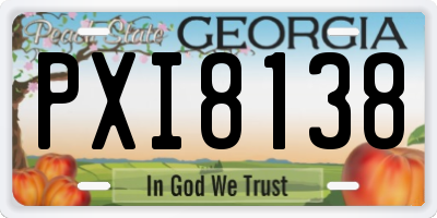 GA license plate PXI8138