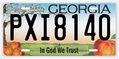 GA license plate PXI8140