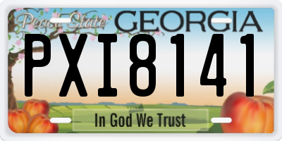 GA license plate PXI8141