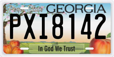 GA license plate PXI8142
