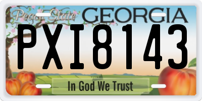 GA license plate PXI8143