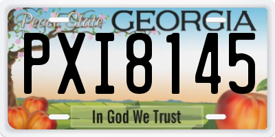 GA license plate PXI8145