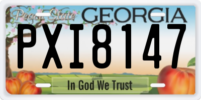 GA license plate PXI8147