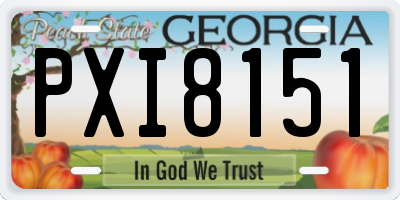 GA license plate PXI8151