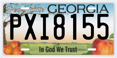 GA license plate PXI8155