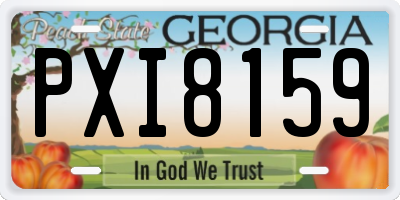 GA license plate PXI8159