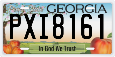 GA license plate PXI8161