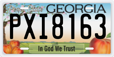 GA license plate PXI8163