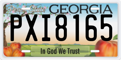 GA license plate PXI8165