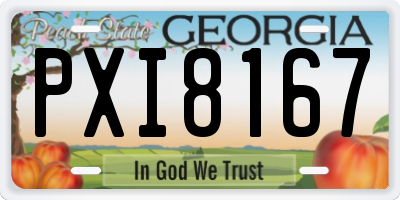 GA license plate PXI8167