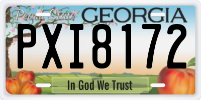 GA license plate PXI8172