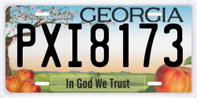 GA license plate PXI8173