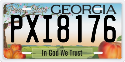 GA license plate PXI8176