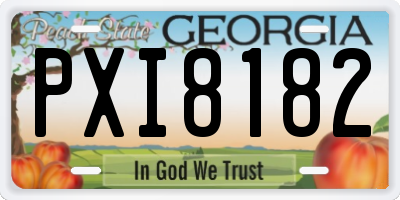 GA license plate PXI8182
