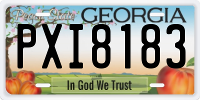 GA license plate PXI8183