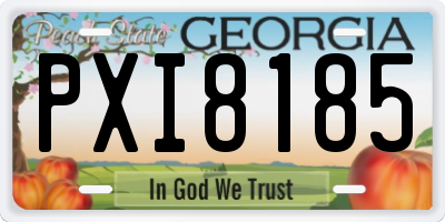 GA license plate PXI8185