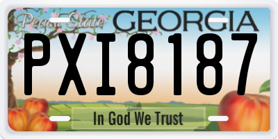 GA license plate PXI8187