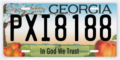 GA license plate PXI8188
