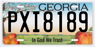 GA license plate PXI8189