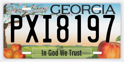 GA license plate PXI8197