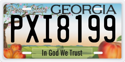 GA license plate PXI8199
