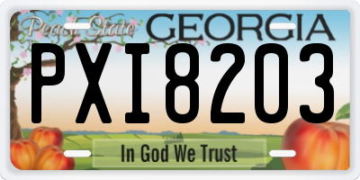 GA license plate PXI8203