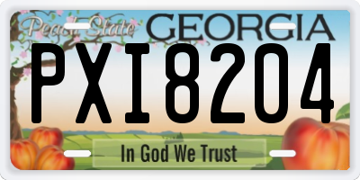 GA license plate PXI8204