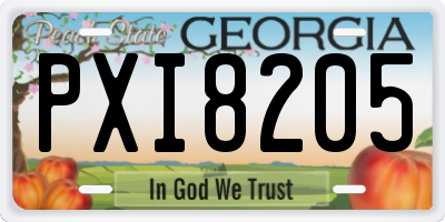 GA license plate PXI8205