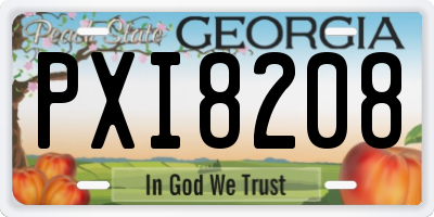 GA license plate PXI8208